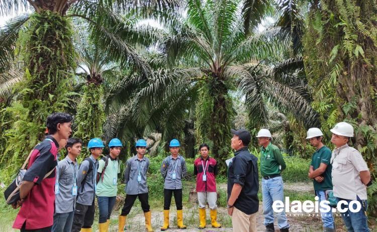 Masih Kuliah, Mahasiswa AKPY Ini Sudah 