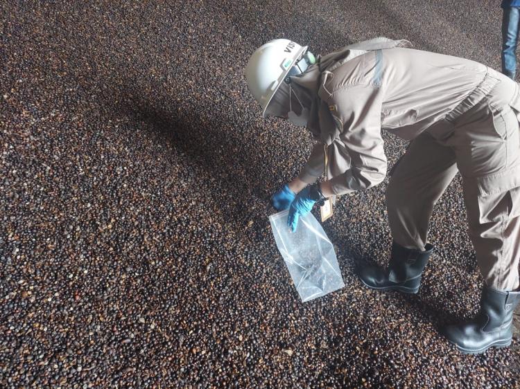 Kernelnya dari Daerah Ini, Tapi yang Kenyang Daerah Lain