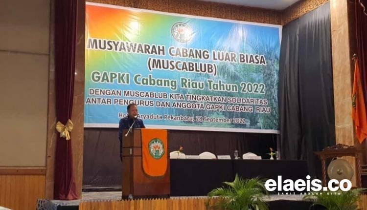 Ini Ketua Baru GAPKI Riau