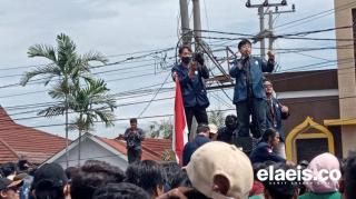 Demonstrasi Ganggu Kinerja Industri Sawit Bengkulu