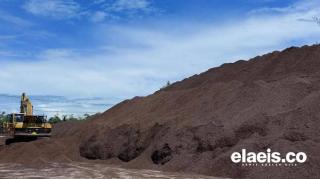 Cangkang Sawit, Jawaban Kenaikan Harga BBM