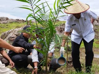 Dapat Hibah Rp 20,6 Miliar, 131 Hektare Ditanam Perdana