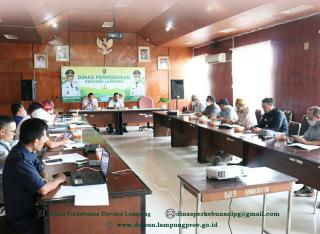 Harga Resmi TBS Sawit di Lampung Melonjak