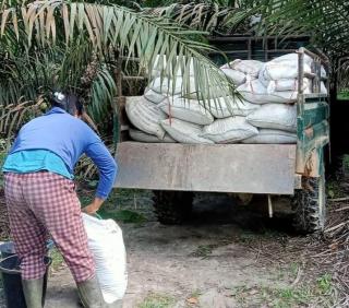 Percuma Keluhkan Harga Pupuk, Mending Pakai Limbah PKS
