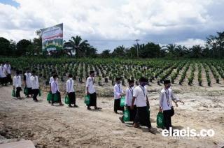 Setelah Dua Tahun Mimpi Maruf