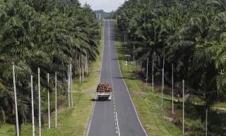 Ternyata, Kawasan Juga Jadi Kendala Sarpras di Riau