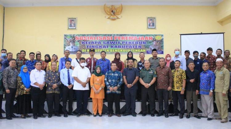 Pentingnya Peremajaan Sawit Tak Produktif Terus Disosialisasikan