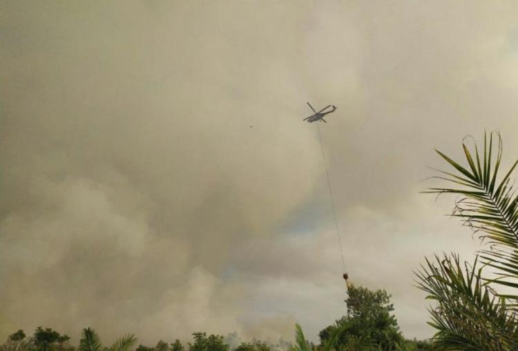 Area Sekitar Kebun Sawit Terbakar, 2 Helikopter Dikerahkan
