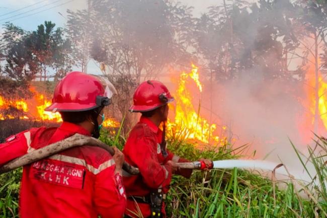 1.219 Hektare Hutan dan Lahan di Riau Terbakar Tahun 2022