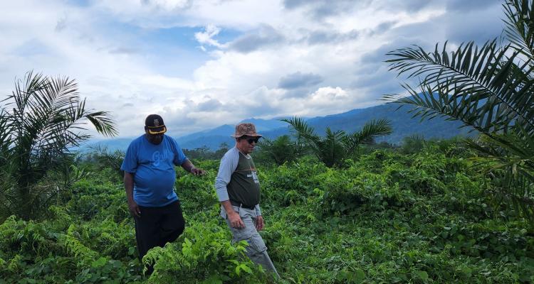 Kenali 6 Sertifikasi Sawit ini. CPOPC Gagas yang ke-7
