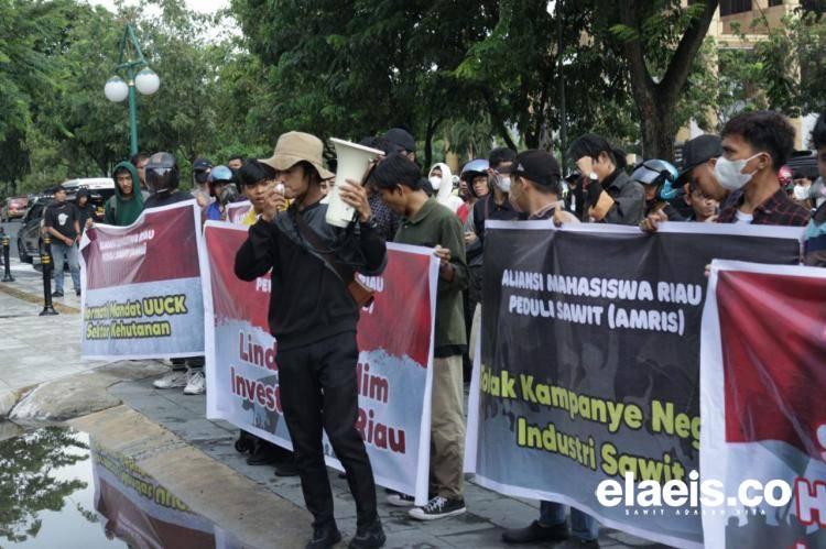 Ratusan Massa AMRIS Dukung UU Cipta Kerja Sektor Kehutanan dan Kebun Sawit