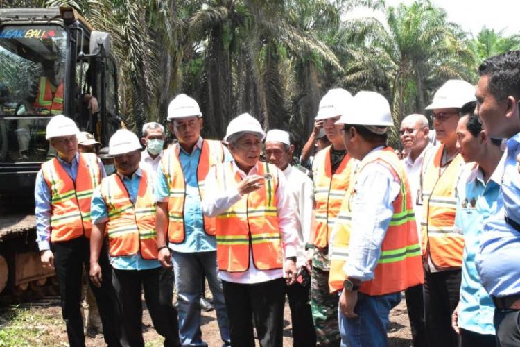 Kebun Rakyat yang Diremajakan di Daerah ini Jadi yang Terluas di Indonesia