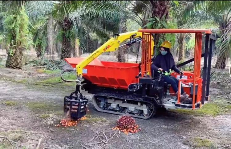 Perusahaan Sawit Diingatkan Lindungi Pekerja Perempuan