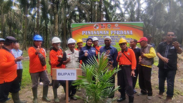 Inhu Remajakan 644 Hektare Tanaman Sawit, APH Diminta Jangan Terlalu Agresif 