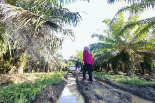 Perbaikan Tata Kelola, Industri Sawit di Maluku Tengah Diaudit