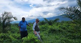 Kenali 6 Sertifikasi Sawit ini. CPOPC Gagas yang ke-7