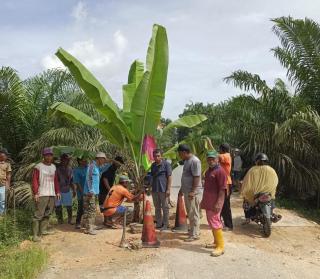 Warga Desa Sentra Sawit Ini Minta Jalan Poros Diperbaiki, Ada Lobang Menganga 