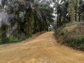 Akses ke Program Sarpras Diminta Dipermudah