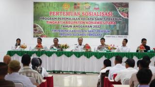 Daerah ini Mau Jadikan Sawit Sebagai Penggerak Utama Perekonomian