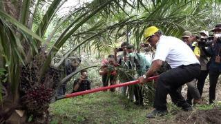 Sudah Mau Akhir Tahun, Belum Ada Pengusul PSR Dapat Rekomtek