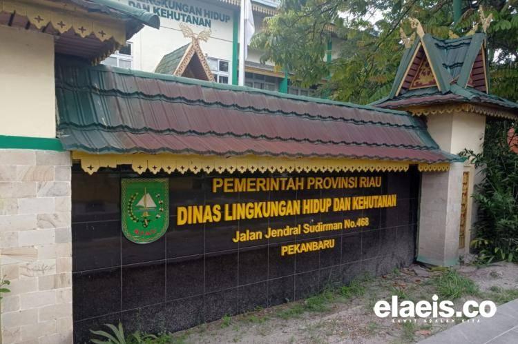 DLHK Riau Ajukan Gugatan Soal Kebun Sawit dalam Kawasan Hutan