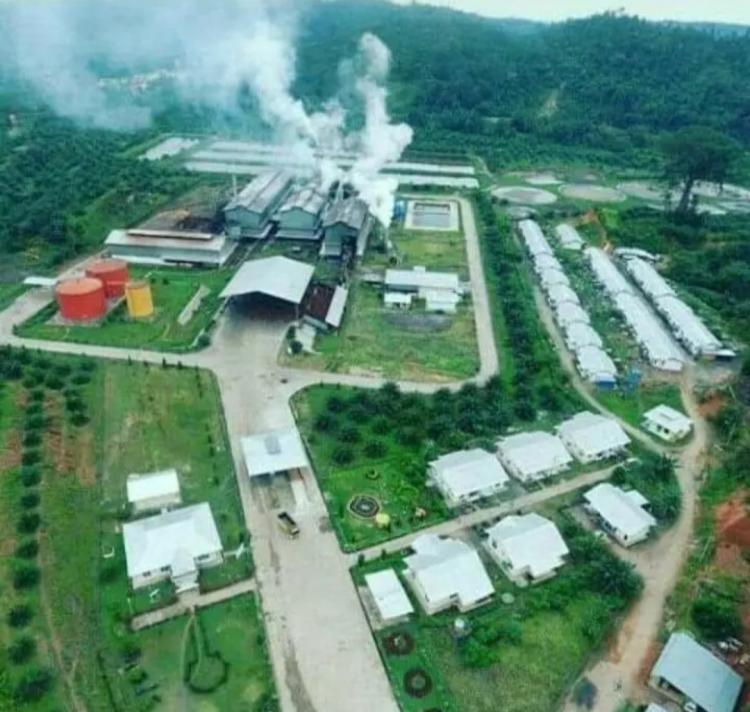 Contoh Limbah Sudah Diambil, tapi PKS Belum Kena Sanksi