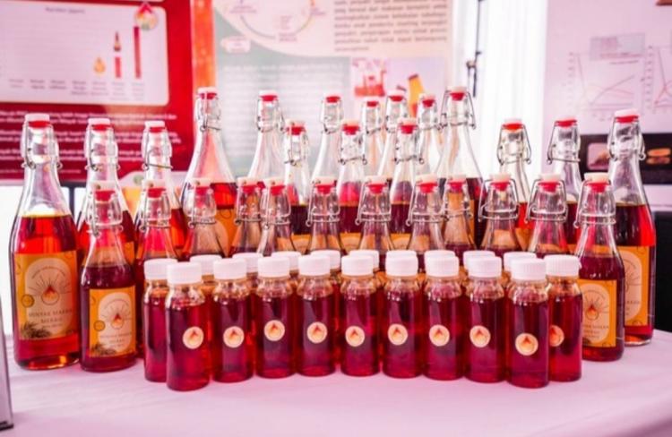 Pembangunan Pabrik Minyak Makan Merah Diharapkan Berdampak Begini