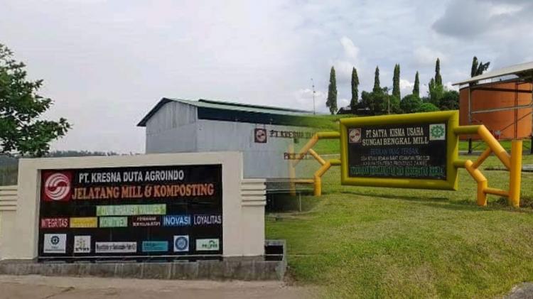 Anak Usaha Sinarmas Group Dilaporkan Mengupah Pekerja di Bawah Standar