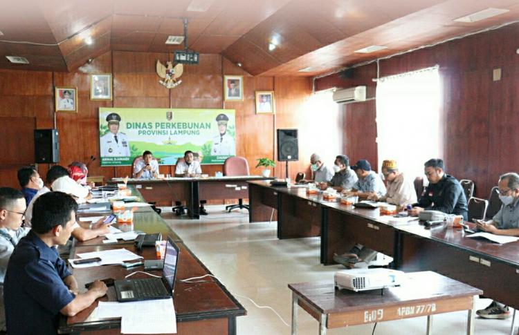 Harga Resmi TBS Sawit di Lampung Turun Tipis