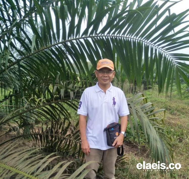 ISPO Penting Bagi Petani Sawit