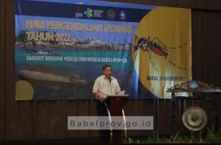 Kolong Bekas Tambang dan Kebun Sawit Dikhawatirkan Jadi Sarang Nyamuk