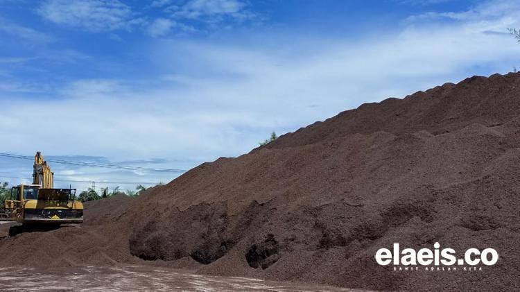 Tak Hanya CPO, China Juga Tertarik Limbah Sawit RI