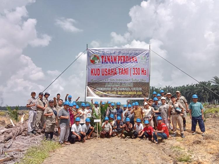 330 Hektare Kebun PSR Petani Plasma Ditanam Perdana 