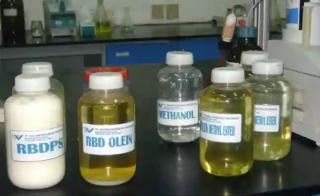 Serap Lebih Banyak Pekerja, Hilirisasi Sawit Terus Didorong