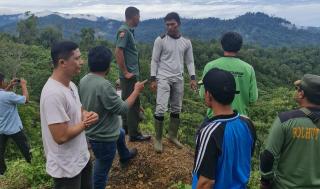 300 Hektare Lahan Perkebunan Disediakan untuk Mantan Kombatan
