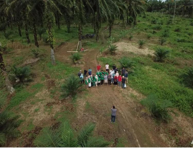Hasrat Petani Terbangkan Drone Petakan Kebun Sawit Akhirnya Kesampaian