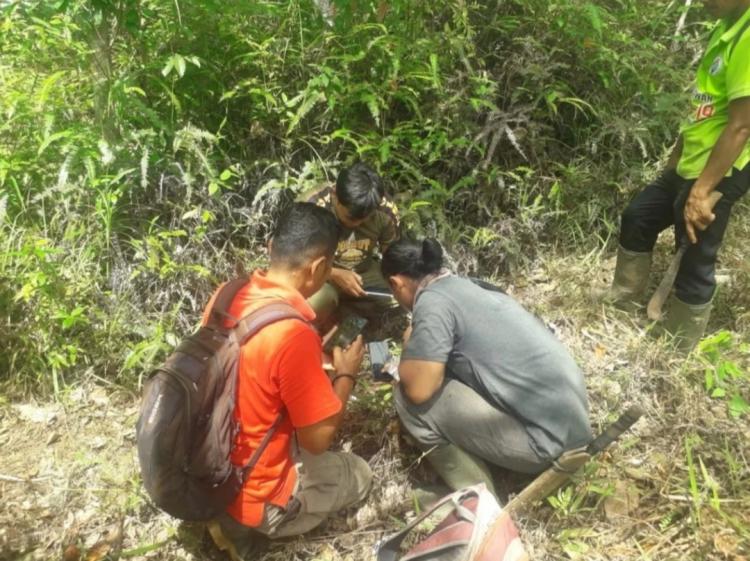 Warga Dihimbau Waspada Pasca Kemunculan Harimau di Kebun Sawit