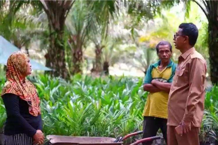 Disbunnak Kalbar Komit Terus Kawal Sawit Berkelanjutan