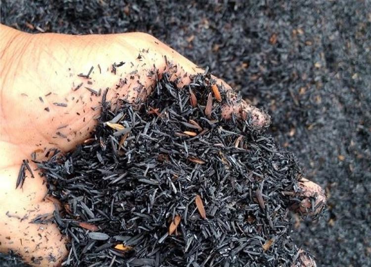 Gampang Diperoleh, Abu Sekam Padi Bisa Gantikan Pupuk KCL