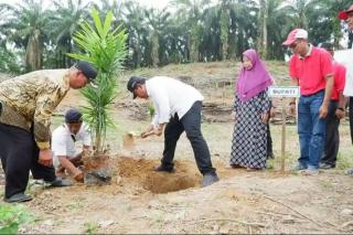 Pemerintah Diminta Permudah Petani Mandiri Akses PSR