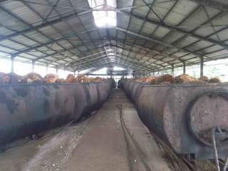 Dalam Setahun Pabrik Kelapa Sawit Sumbang Emisi 600 Juta Ton