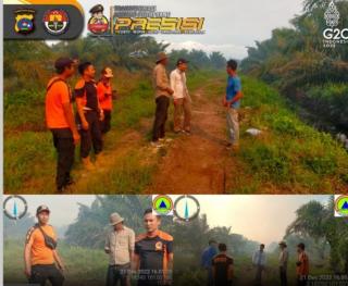 2 Hektare Kebun Sawit Terbakar, Pemiliknya Masih Dicari