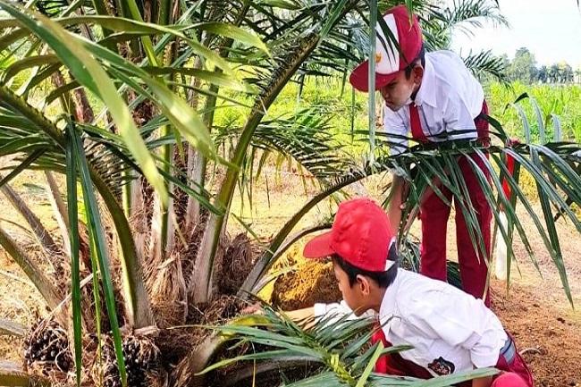 APKASINDO Dukung Hadirnya Sekolah Sawit di Kaltim