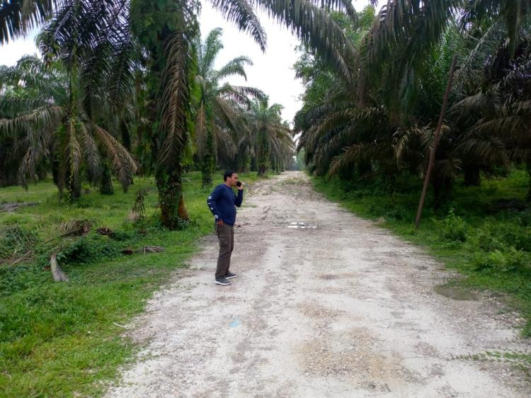 Bento Bangun Jalan Khusus Truk Sawit dan Batu Bara Pakai Uang Pribadi