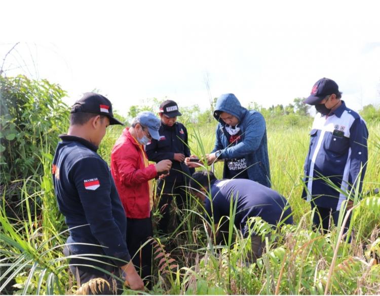 Perusahaan Sawit Terbukti Sebabkan 1.500 Ha Lahan Terbakar, ini Sanksinya