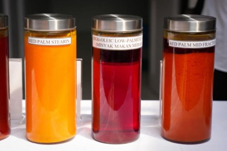 Perlu Kajian Matang Bangun Pabrik Minyak Makan Merah