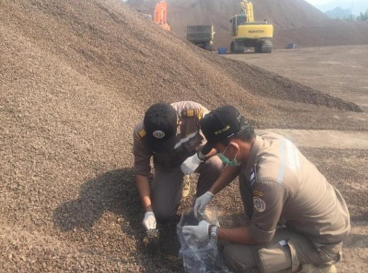 Ternyata Ini Alasan Jepang Tertarik pada Cangkang Sawit Bengkulu