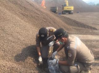 Ternyata Ini Alasan Jepang Tertarik pada Cangkang Sawit Bengkulu