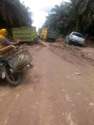 Masyarakat Keluhkan Jalan Rusak Akibat Truk Sawit