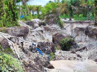 Banyak Kebun Sawit Jadi Lokasi PETI, Razia Makin Gencar